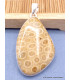 Pendentif en Corail fossile indonésien asymétrique Pendentifs pierres naturelles XV26.4