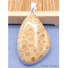 Pendentif en Corail fossile indonésien asymétrique Pendentifs pierres naturelles XV26.4