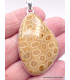 Pendentif en Corail fossile indonésien asymétrique Pendentifs pierres naturelles XV26.4