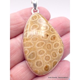 Pendentif en Corail fossile indonésien asymétrique Pendentifs pierres naturelles XV26.4