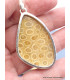 Pendentif en Corail fossile indonésien asymétrique Pendentifs pierres naturelles XV26.4
