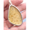 Pendentif en Corail fossile indonésien asymétrique Pendentifs pierres naturelles XV26.4
