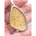 Pendentif en Corail fossile indonésien asymétrique Pendentifs pierres naturelles XV26.4