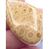 Pendentif en Corail fossile indonésien asymétrique Pendentifs pierres naturelles XV26.4