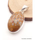Pendentif Jaspe Faon oval Pendentifs pierres naturelles AW26.1