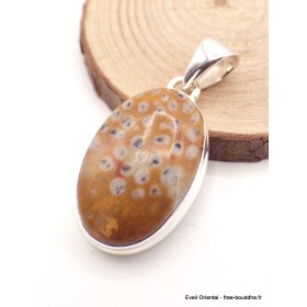 Pendentif Jaspe Faon oval Pendentifs pierres naturelles AW26.1