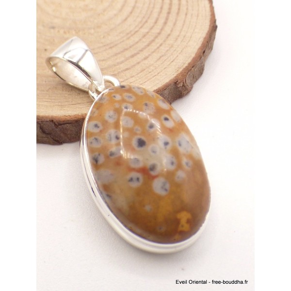 Pendentif Jaspe Faon oval Pendentifs pierres naturelles AW26.1