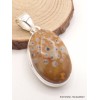 Pendentif Jaspe Faon oval Pendentifs pierres naturelles AW26.1