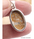 Pendentif Jaspe Faon oval Pendentifs pierres naturelles AW26.1