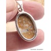Pendentif Jaspe Faon oval Pendentifs pierres naturelles AW26.1