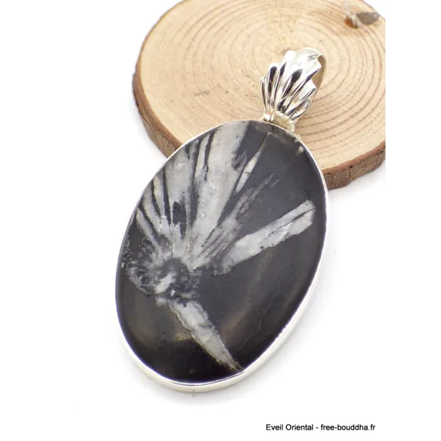 Gros Pendentif argent Chrysanthème - Pendentifs pierres naturelles