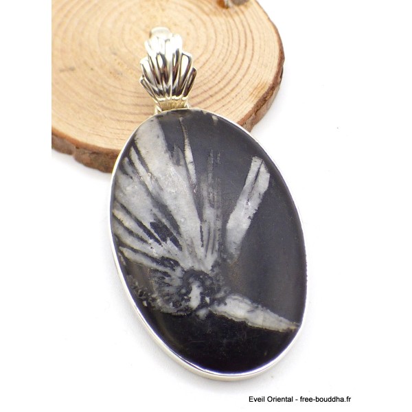 Gros Pendentif argent Chrysanthème Pendentifs pierres naturelles GH11