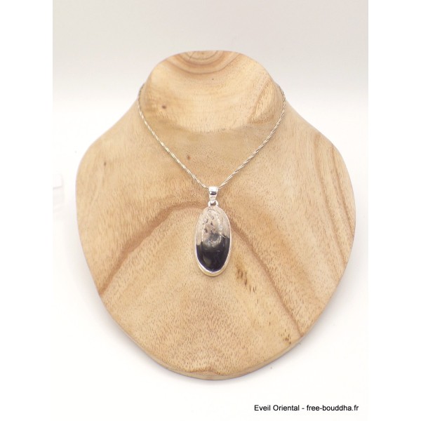 Grand Pendentif Bois pétrifié oval allongé Pendentifs pierres naturelles AW34.1