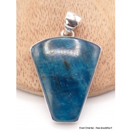 Grand Pendentif Apatite bleue forme écusson Pendentifs pierres naturelles AW50