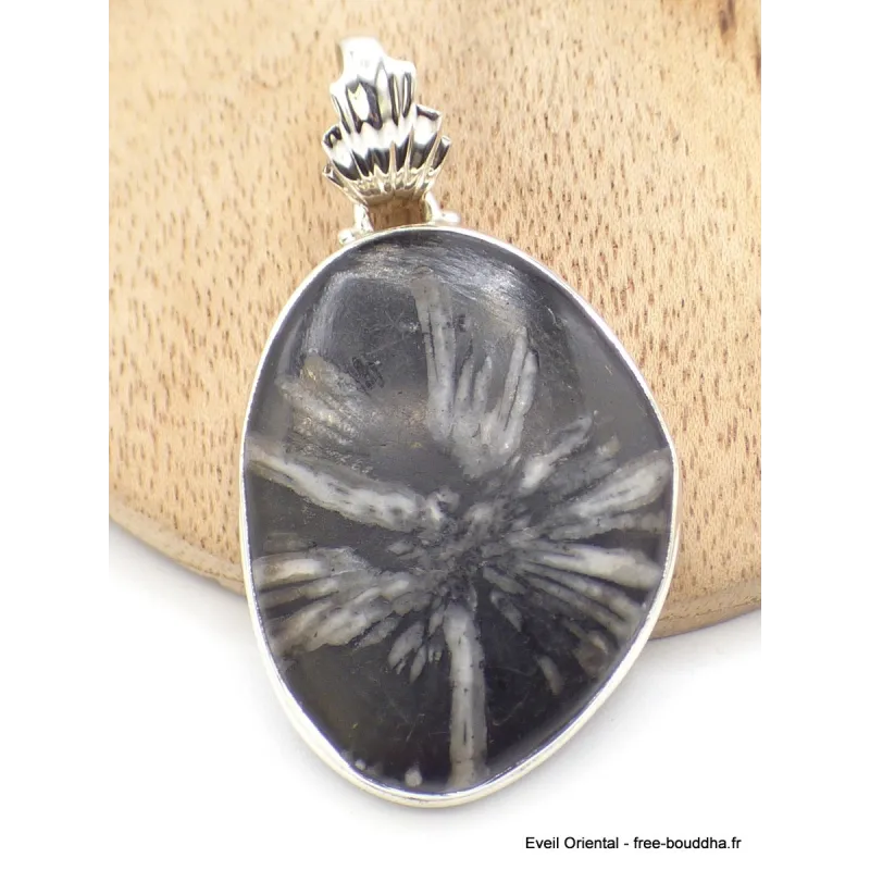 Gros Pendentif argent Chrysanthème bélière feuille - Pendentifs pierres naturelles