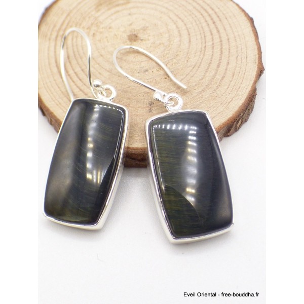 Boucles d'oreilles en Oeil de Tigre Bleu rectangulaires Bijoux en Oeil de Faucon AW85
