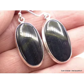 Boucles d'oreilles en Oeil de Tigre Bleu ovales - Bijoux en Oeil de Faucon