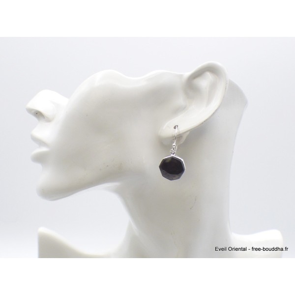 Boucles d'oreilles Hypersthène hexagonales Boucles d'oreilles en pierres AW92.1