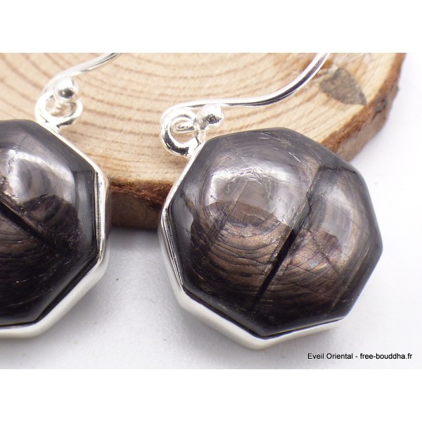 Boucles d'oreilles Hypersthène hexagonales Boucles d'oreilles en pierres AW92.1