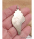 Conque tibétaine pendentif couleur corail Bijoux tibetains bouddhistes ET1.15