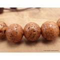 Bracelet tibétain mala vraies Graines de Lotus brun Bracelets tibétains bouddhistes BM14