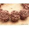 Bracelet mala en grosses Graines de Rudraksha Bracelet Mala tibétain BMPR