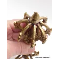 Dorje tibétain couronne vajra 8 branches - Dordjé, double dorjé (sans cloche)