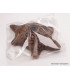 Encens tibétain Bouddha de médecine cordelettes Encens tibétains, accessoires ENTBM1