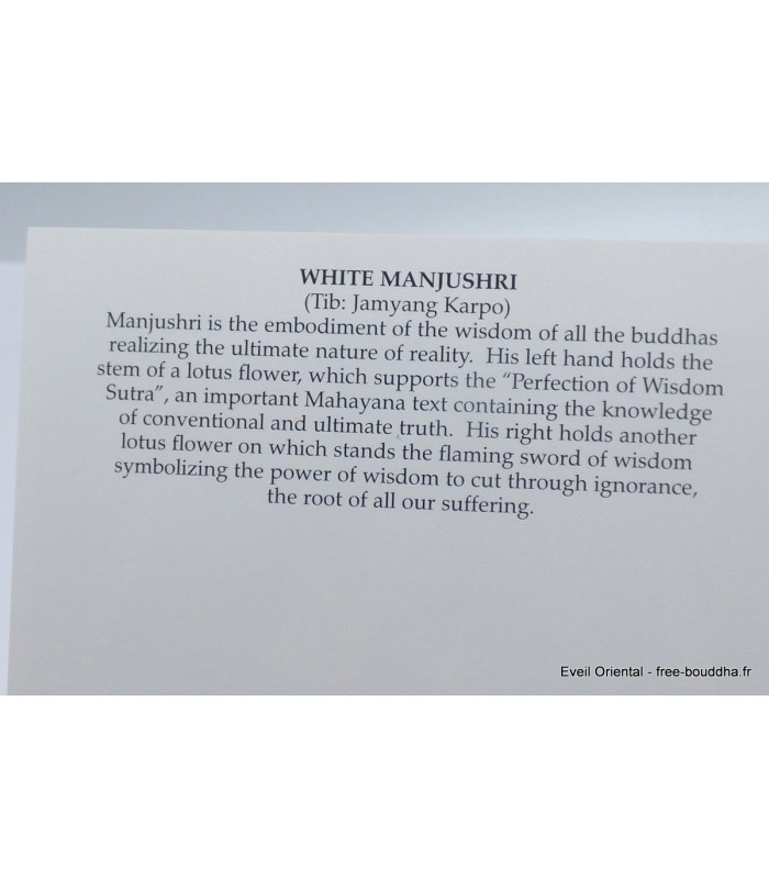 Carte postale bouddhiste Tara Verte et les 21 Tara Cartes postales bouddhistes CPB52