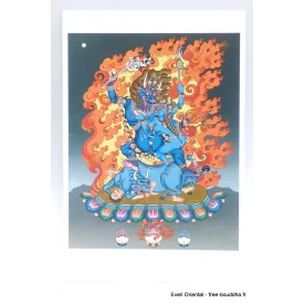 Carte postale bouddhiste Kalarupa - Cartes postales bouddhistes