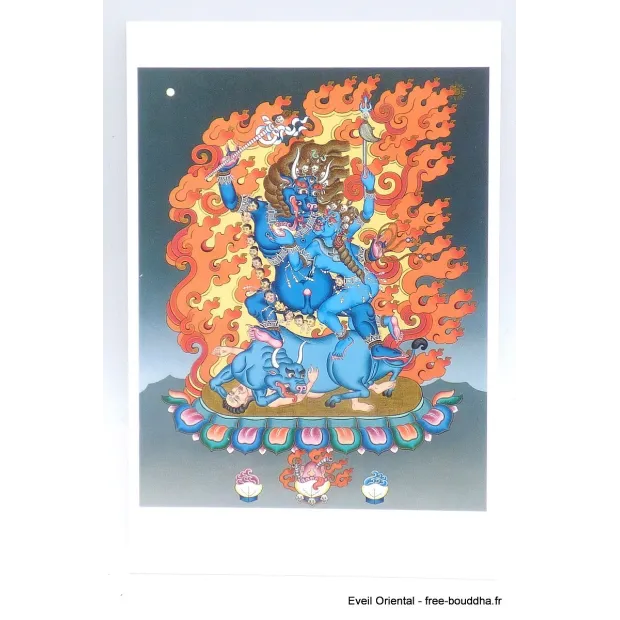 Carte postale bouddhiste Kalarupa - Cartes postales bouddhistes