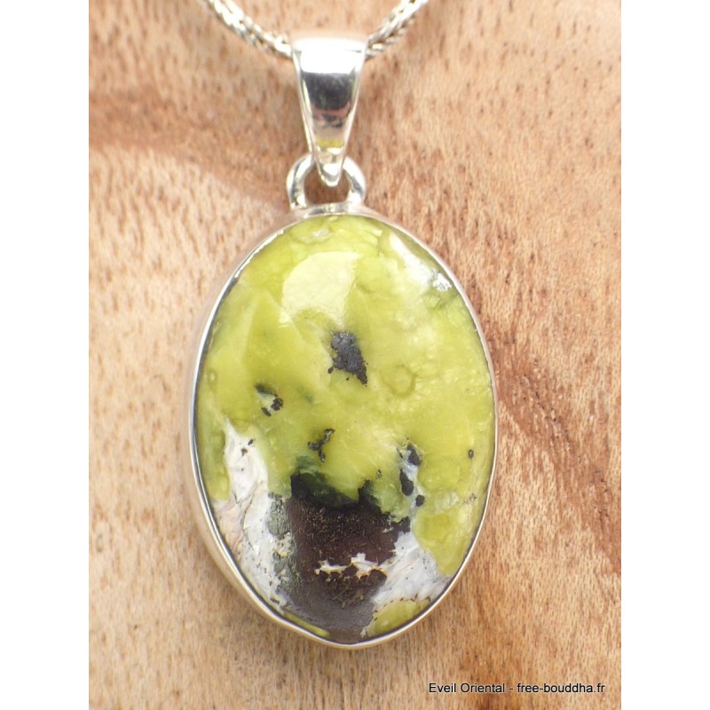 Pendentif Lezardite Serpentine oval Pendentifs pierres naturelles YM19