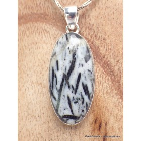 Pendentif Hornblende oval allongé Pendentifs pierres naturelles YM22.1