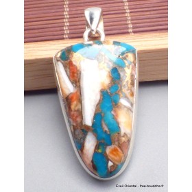 Pendentif Turquoise Spiny Oyster semi-oval Bijoux en Turquoise Spiny Oyster AW36.3