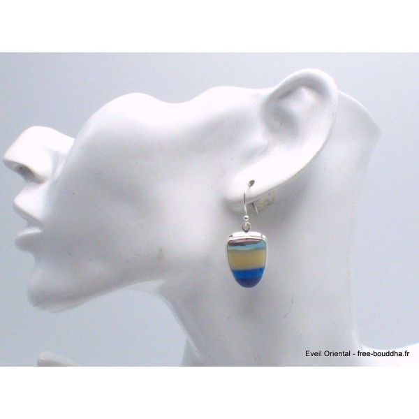 Boucles d'oreilles Surfite Snowboard bleu jaune Bijoux en Surfite Snowboard YM43.1