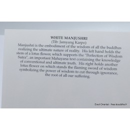 Carte postale bouddhiste MANTRA DE CHENREZI Objets rituels bouddhistes CPB22