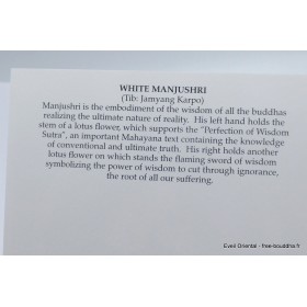 Carte postale bouddhiste AMITABHA Cartes postales bouddhistes CPB8