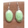 Boucles d'oreilles Chrysoprase citron ovales Bijoux en Chrysoprase YM52.1