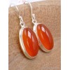 Boucles d'oreilles Cornaline ovales Qualité AAA Bijoux en Cornaline YM58