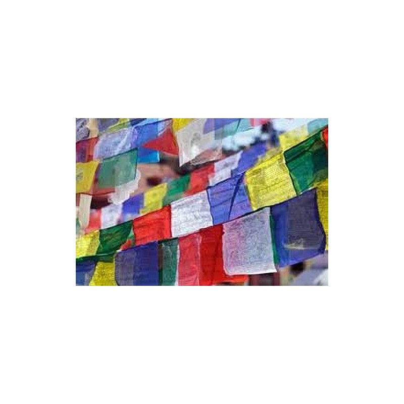 Guirlande de 15 drapeaux cheval lungta 33 x 30 cm Drapeaux tibétains TTGM5