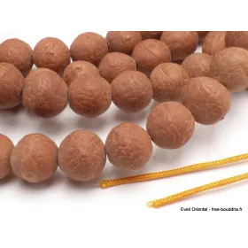 AUTHENTIQUE Mala de prières bouddhiste en Graines de Bodhi - Mala tibétain 108 perles