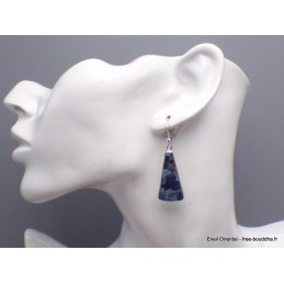 Boucles d'oreilles Pietersite bleue Trapèze qualité AAA Bijoux en Pietersite YM77