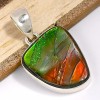Pendentif Ammolite du Canada rouge verte qualité AAA Pendentifs pierres naturelles CWA5