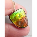 Pendentif Ammolite du Canada rouge verte qualité AAA Pendentifs pierres naturelles CWA5