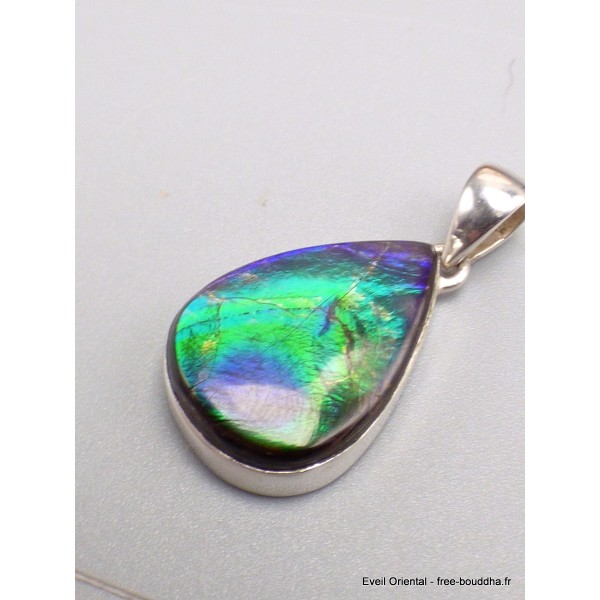 Rare Pendentif Ammolite du Canada bleu vert qualité AAA Pendentifs pierres naturelles CWA5.1