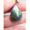 Rare Pendentif Ammolite du Canada bleu vert qualité AAA Pendentifs pierres naturelles CWA5.1