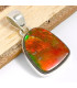 Pendentif Ammolite naturelle orange du Canada qualité AAA Pendentifs pierres naturelles CWA5.3