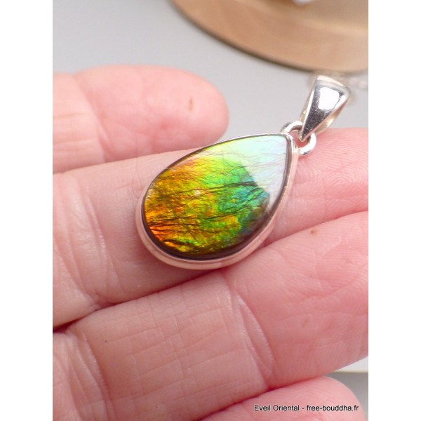Pendentif en Ammolite naturelle multicolore qualité AAA Pendentifs pierres naturelles CWA5.4