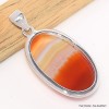 Pendentif oval Agate du Lac Supérieur Minesotta Pendentifs pierres naturelles CWA14.3