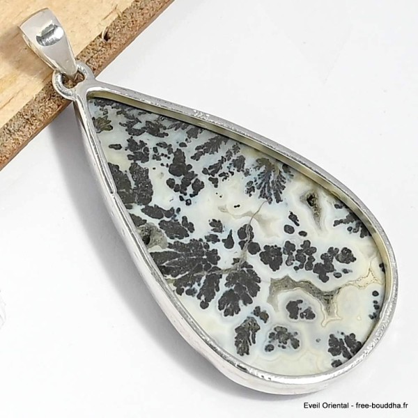 Pendentif Agate Medicine Bow (Wyoming) Pendentifs pierres naturelles CWA24